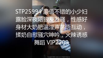 STP25994 颜值不错的小少妇露脸深夜陪狼友发骚，性感好身材大奶肥逼淫声荡语互动，揉奶自慰骚穴呻吟，火辣诱惑舞蹈 VIP2209