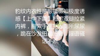 豹纹内衣性感眼镜御姐极度诱惑【上中下篇】翘起双腿拉紧内裤，掰穴手指抠入厕所尿尿，跪在沙发扭动肥臀，淫语骚话不断