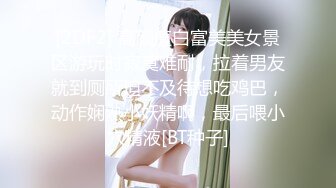 [2DF2] 高颜值白富美美女景区游玩时寂寞难耐，拉着男友就到厕所迫不及待想吃鸡巴，动作娴熟小妖精啊，最后喂小穴精液[BT种子]