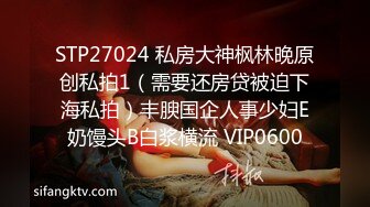 STP27024 私房大神枫林晚原创私拍1（需要还房贷被迫下海私拍）丰腴国企人事少妇E奶馒头B白浆横流 VIP0600