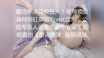 露出界天花板狂人！推特顶级身材网红御姐9zabc定制，公园专玩人前露出家中安装工面前露出《重磅炸弹✅极限挑战》 (3)