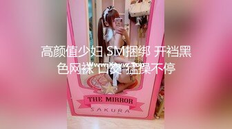 高颜值少妇 SM捆绑 开裆黑色网袜 口交 猛操不停