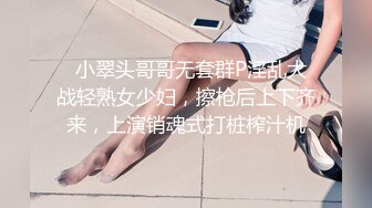 吃鸡吧吃上瘾的人妻小母狗第二部