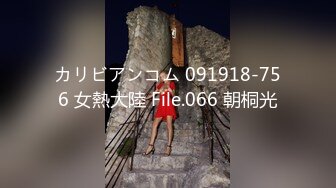 カリビアンコム 091918-756 女熱大陸 File.066 朝桐光