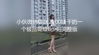 小伙微信转账2000块干的一个极品蝴蝶B少妇完整版